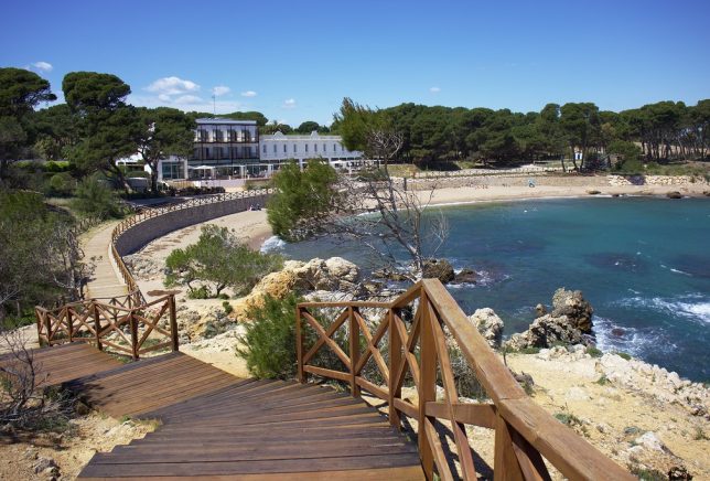 52097086577_e9d77f3c1d_b