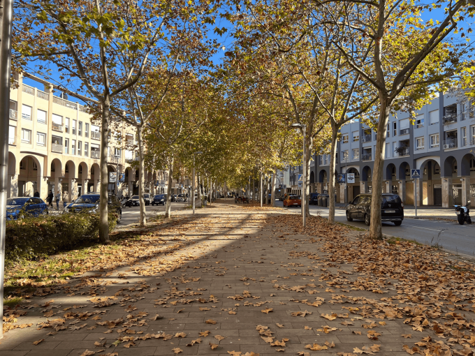 Vendre pis a Girona