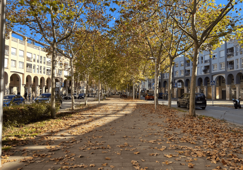 Vendre pis a Girona