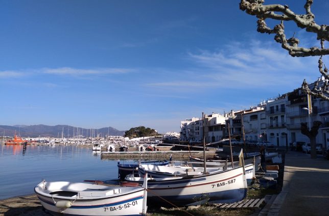 IMG_20190323_091006_677