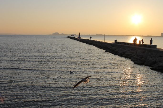 Inmobiliaria en Rosas