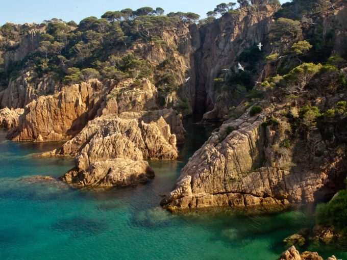 Inmobiliaria en San Feliu de Guíxols