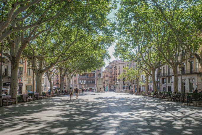 Inmobiliaria en Pals